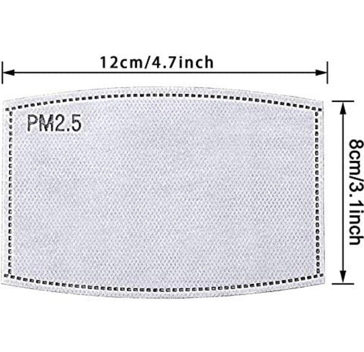 PM2.5 Filter for African Print Face Masks